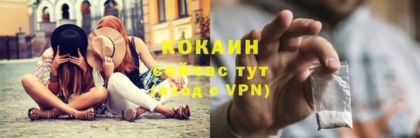дживик Балахна