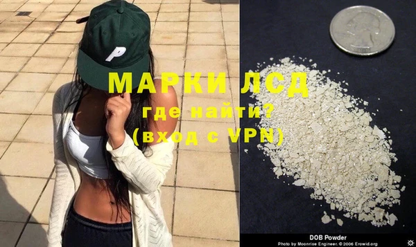 стаф Баксан