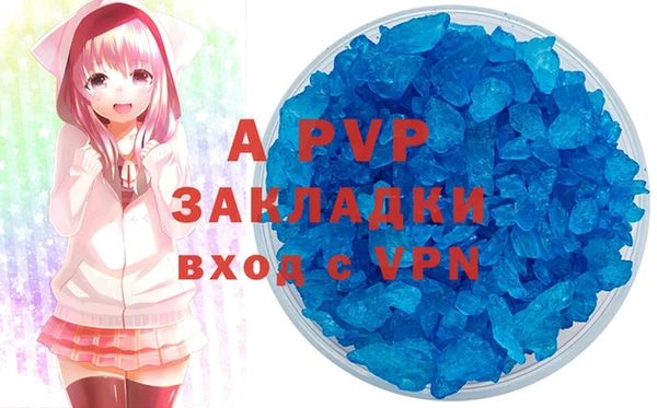 стаф Баксан