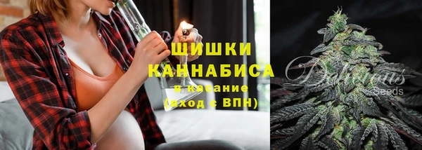 дживик Балахна