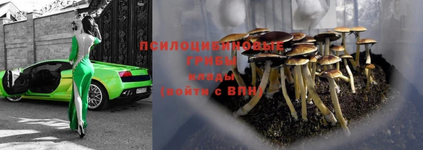 дживик Балахна
